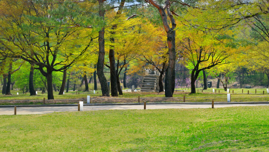문화재청은 왕실의 생활 공간으로 400여 년간 사용된 창경궁과 궁내에서 자라는 나무를 숲 해설사와 함께 살펴보는 프로그램을 다음 달 1일부터 10월까지 매주 주말 오후 2시 30분에 운영한다.